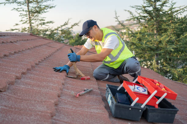 Best Roof Moss and Algae Removal  in Jamaica Beach, TX